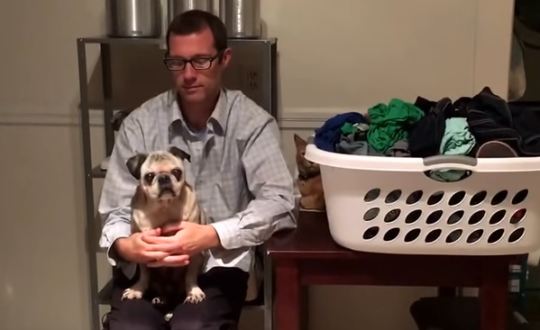 dad-and-pug