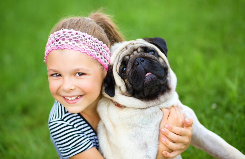 little girl and pug