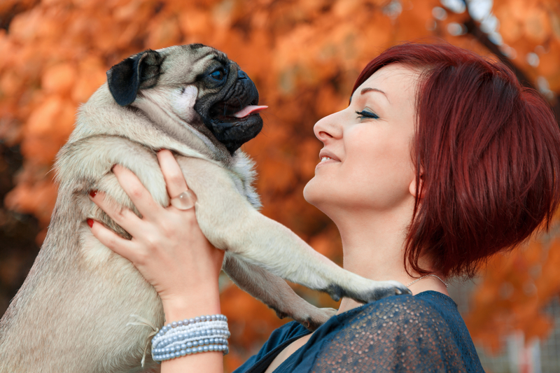 mom and pug