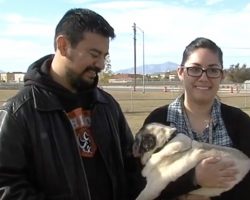 (Video) This Pug Was Lost for 7 Years. When He’s Reunited With His Owners? It’s Impossible to Hold Back Tears!