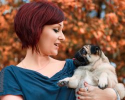 When Picking Up a Dog, Here are 3 Things a Person Must NEVER Do
