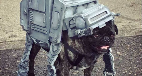 pug-star-wars