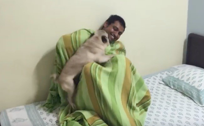 uncle-pug