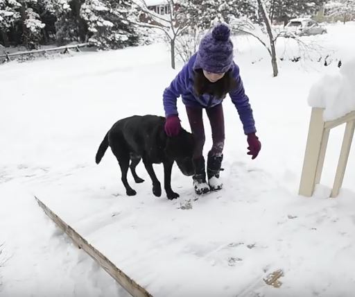 dog-on-ramp