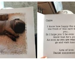 This Guy Just Set the Bar for Serious Relationship Goals by Giving His Girlfriend a Baby Pug
