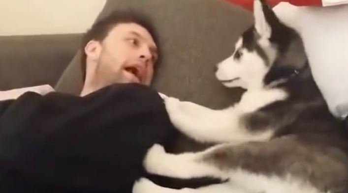 dad-and-husky-talking