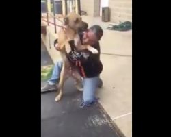 (Video) Watch This Dog’s Tear Jerking Reaction to Being Reunited With His Owner After Being Away From Him for Two Years