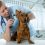 Why Does Veterinarian Care Seem Like it’s Getting So Costly?