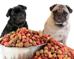 These Pet Food Companies Faced Some VERY Serious Claims!