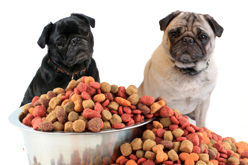 pug food