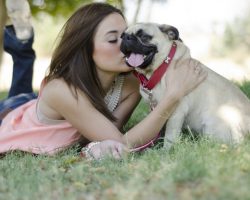 6 Common Pug Genetic Issues That Dog Owners Need to Educate Themselves About