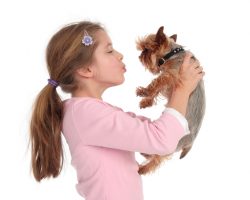 3 Things a Dog Wished His Human Knew About Picking Him Up
