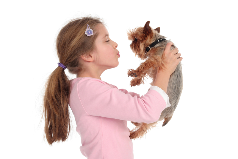 girl-holding-a-dog-yorkie