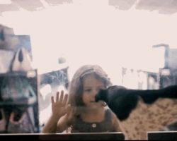 (Video) Pet Store Discreetly Replaces its Animals With Rescues. What Happens Next is No Surprise…