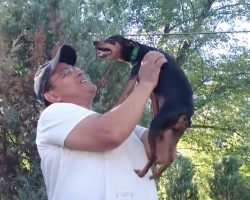 (Video) After 2 Years a Dog Reunites With His Owner. How They Reunited? I Now Believe in Serendipity!