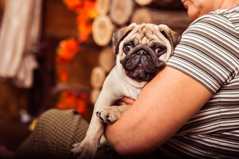 pug-and-owner
