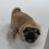 (Video) When a Pug Goes to the Bathroom in the Snow This Happens…