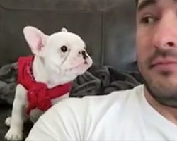 (Video) Dog Dad Tells His Pup How Handsome He Looks. The Pup’s Reaction? SO Funny!