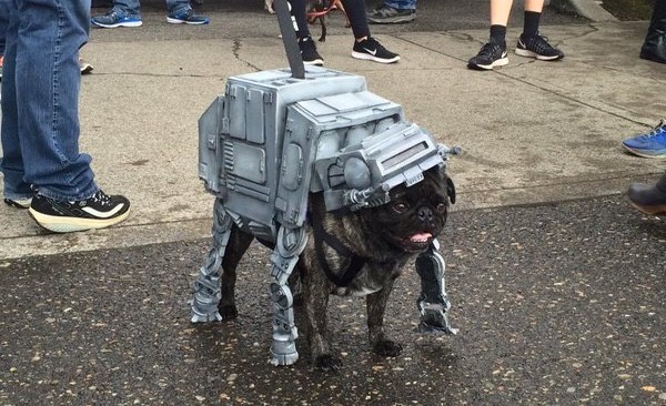 star-wars-pug