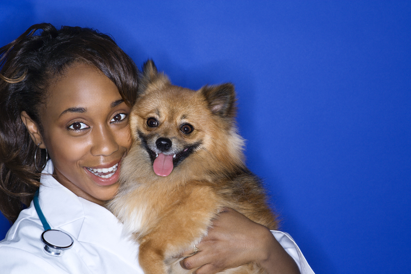 woman-with-pomeranian-dog