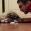 (Video) This Family’s Pug is Blind, so They Have a Special Way of Waking Him Up…