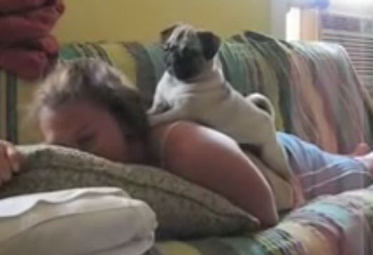 Pug and Mommy