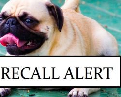 Recall Alert: This Dog Food Was Found to Have a Euthanasia Drug