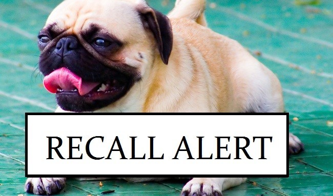 pug-recall-alert