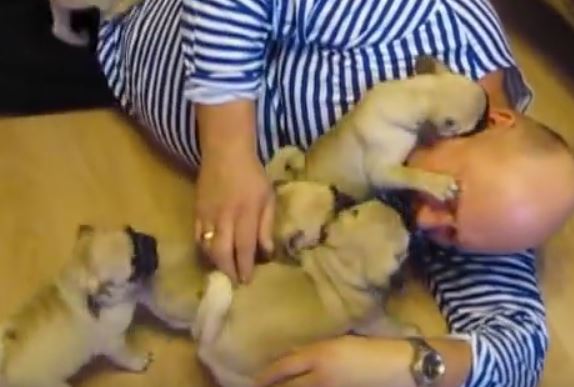 Puppy Puggy Love