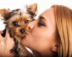 Science Just Unlocked the Reason Why a Doggy is SO Excited to See Her Human