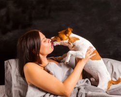 The Awe Inspiring Cues Dogs Pick Up on to Comfort Their Grieving Human