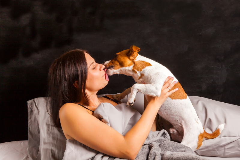 dog kissing owner