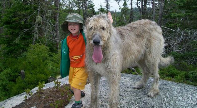 little-boy-and-dog