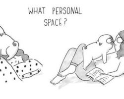 What it’s Really Like to Live With a Pug…