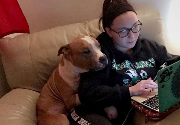 pitbull cuddling with mom