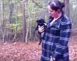(Video) This Little Pug Puppy Disses the Person Holding Him by Throwing a Fit and Screaming!
