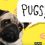 (Video) This Pug History Song is Crazy Fun and We Could Listen to it All Day Long! LOL!