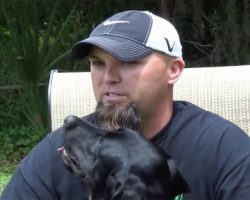 (Video) War Veteran Has a Panic Attack During an Interview. Now Watch the Service Dog…