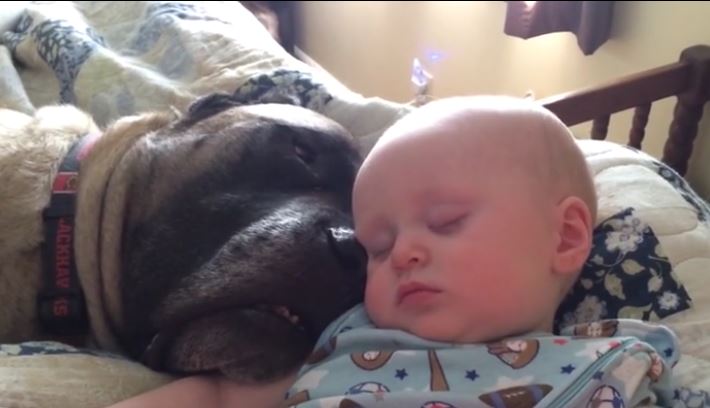 Baby and Dog Sleeping