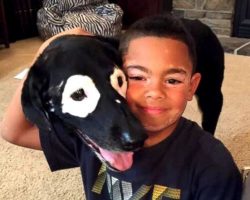 Famous Pup With Vitiligo Helped a Little Boy With the Same Condition Love Himself