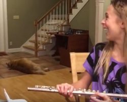(Video) Girl is Trying to Play the Flute, But Her Dog is Not Having It
