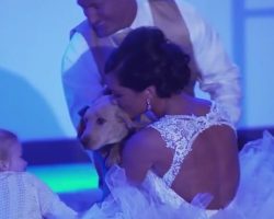 (Video) Groom Surprises His New Wife With a… Puppy?!