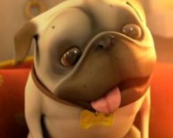 (Video) See Why This Short Film About a Pug and a Cleaning Robot Has Us Smiling From Ear to Ear
