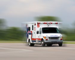 EMTs Suspended After Providing Medical Care to a Dog Who Was Injured Due to a Car Accident