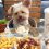Adorable Rescue Pup Called Popeye Eats Better Than Us!