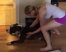 (Video) Dog Protests Bath Time in Epic Fashion – LOL!