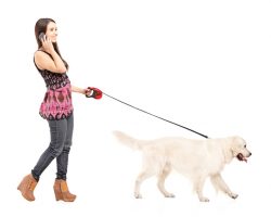 Why a Person Should Never be on Their Phone While Walking Fido