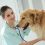 Canine Heart Disease: What We Need to Know