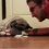 (Video) This Family’s Pug is Blind, But Watch Their Special Way of Waking Him Up…