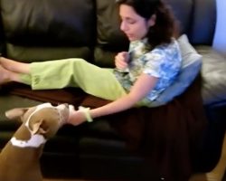 (Video) She Tells Her Dog She’s Not Feeling Well. His Reaction? Amazing!